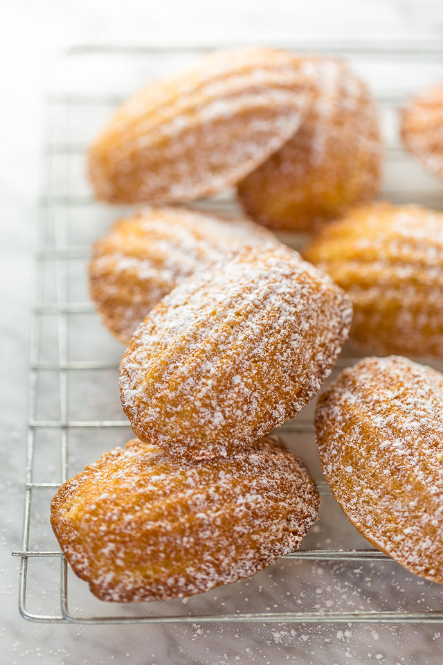 Classic Madeleines